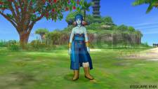 Dragon Quest X 14