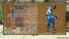 Dragon Quest X 17