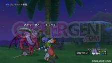 Dragon Quest X 9