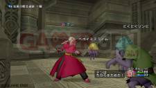 Dragon Quest X 11