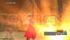 Dragon Quest X 12