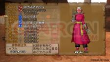 Dragon Quest X 16