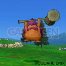 Dragon Quest X 14