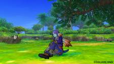 Dragon Quest 22