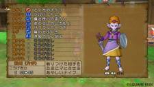 Dragon Quest X 10