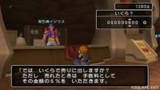 Dragon Quest X 11