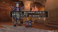 Dragon Quest X 12