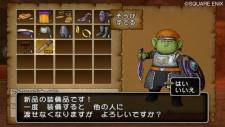 Dragon Quest X 13