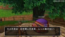 dragon_quest_x_s-3