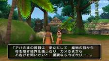 dragon_quest_x_s-4