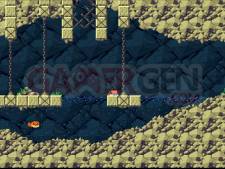 Images-Screenshots-Captures-Cave-Story-01122010-14