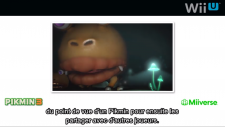 Nintendo Direct Miiverse Pikmin Capture dâÃ©cran 2013-01-23 Ã  15.12.47