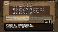screenshot-dragon-quest-x-nintendo-wii-06