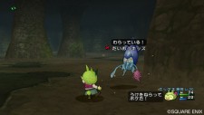screenshot-dragon-quest-x-nintendo-wii-08