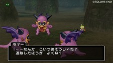 screenshot-dragon-quest-x-nintendo-wii-09