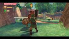 Skyward Sword